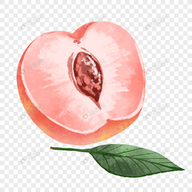 亚洲金品视频APP应用