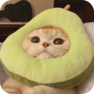 西瓜视频免费APP应用